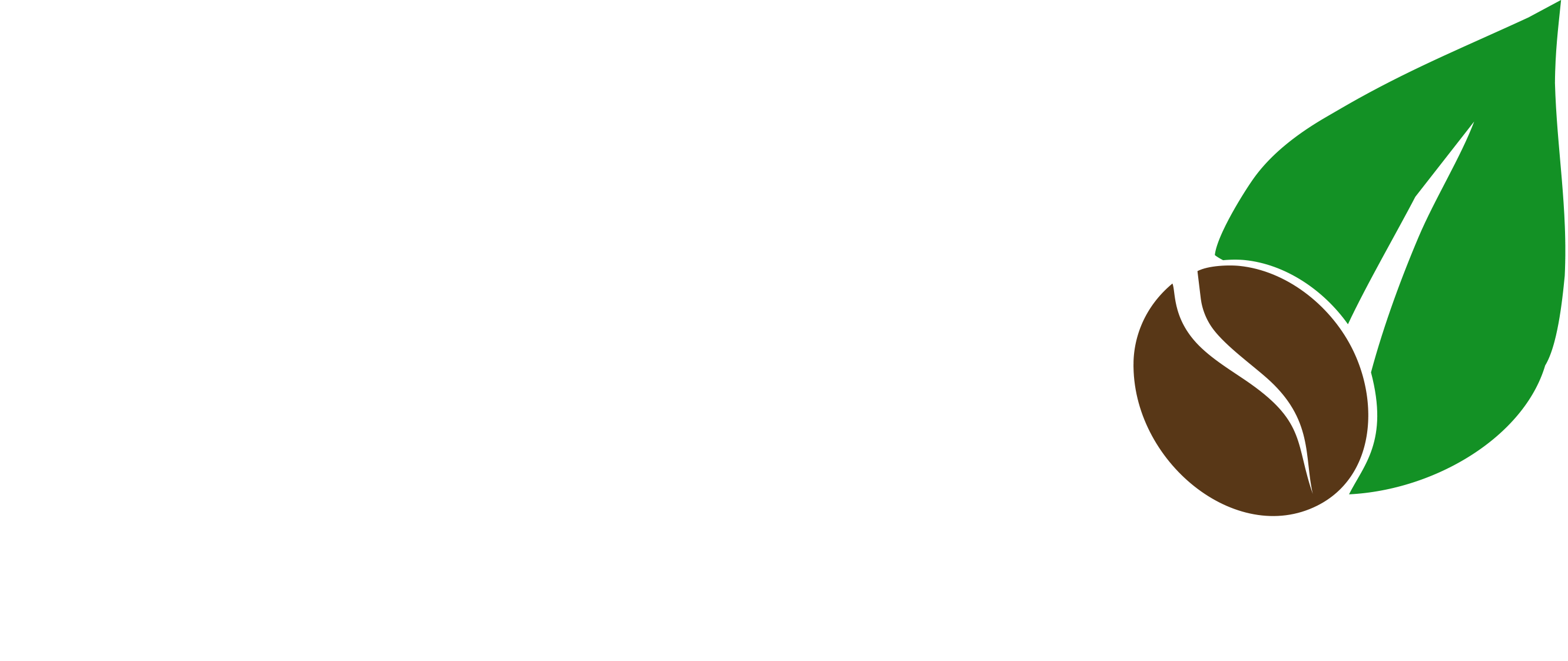 Leaf and Bean